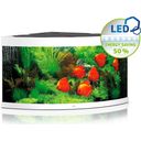 Juwel Trigon 350 LED zestaw akwariowy - biały