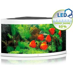 Juwel Akvarij Trigon 350 LED  - bela