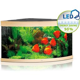 Juwel Acquario Trigon 350 LED - legno chiaro