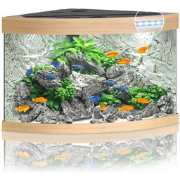 Juwel Trigon 190 LED akvarij - svjetlo drvo