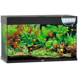 Juwel Rio 125 LED-aquarium - zwart