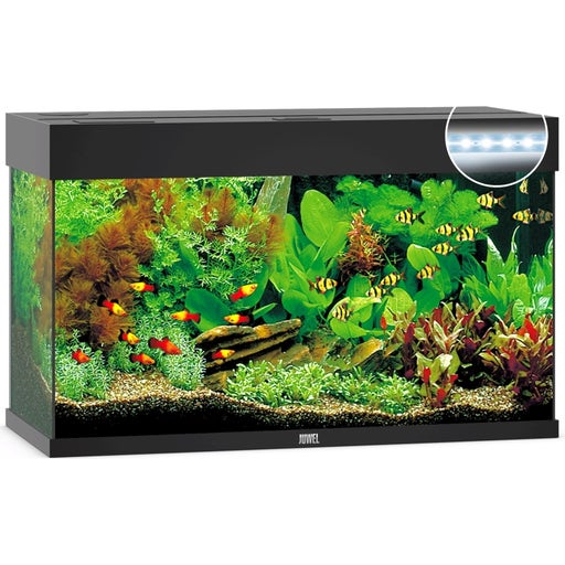 Juwel Rio 125 LED Aquarium - schwarz