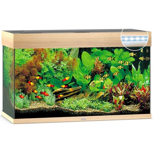 Juwel Rio 125 LED-aquarium - bleek hout