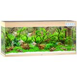 Juwel Rio 240 LED Aquarium