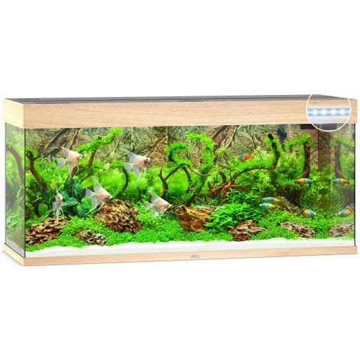 Juwel Aquarium LED Rio 240 - bois clair