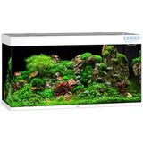 Juwel Rio 350 LED Aquarium