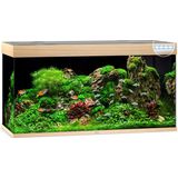 Juwel Rio 350 LED Aquarium