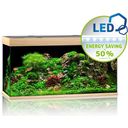 Juwel Rio 350 LED Aquarium - bleek hout