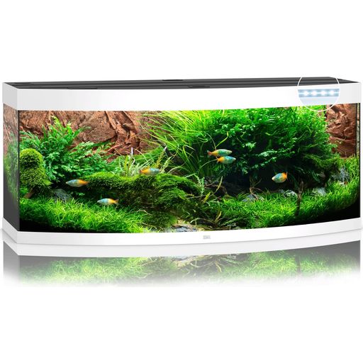 Juwel Vision 450 LED Aquarium - weiß