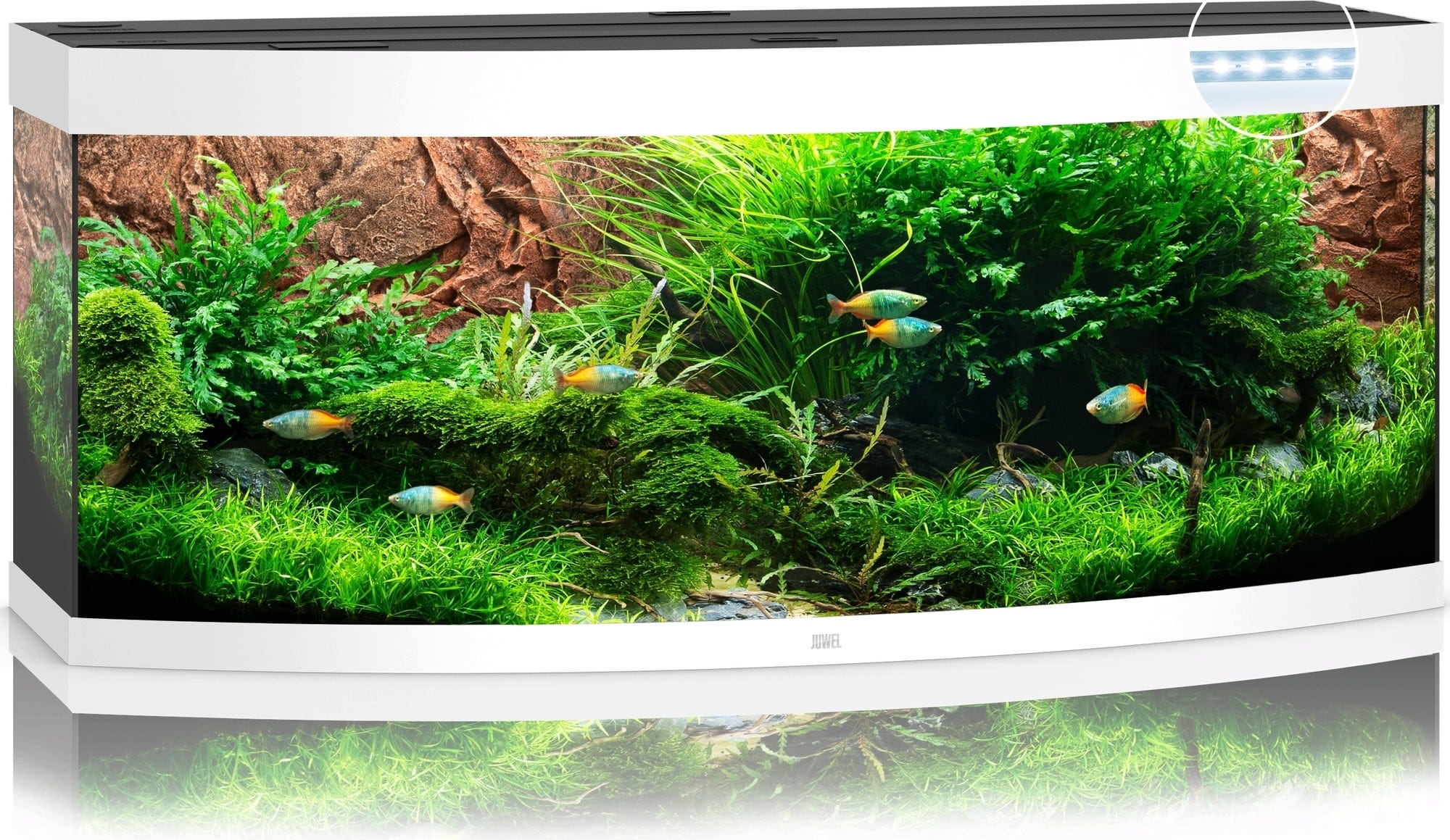 Juwel Vision 450 LED Aquarium - weiß
