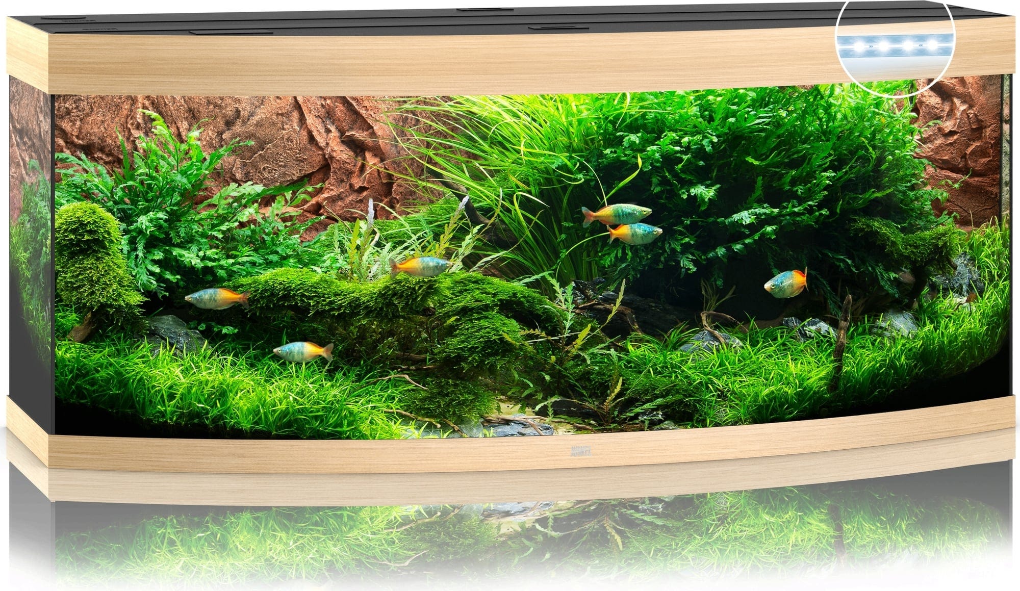 Juwel Vision 450 LED Aquarium - helles Holz