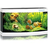 Juwel Vision 260 LED Aquarium