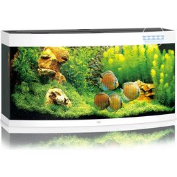 Juwel Vision 260 LED Aquarium - weiß