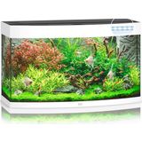 Juwel Vision 180 LED Aquarium