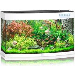 Juwel Aquarium LED Vision 180 - blanc