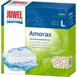 Juwel Amorax