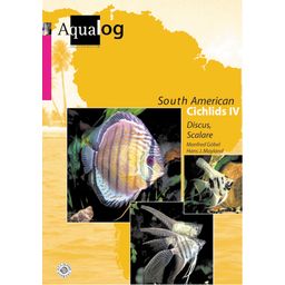 Zuid-Amerikaanse Cichliden IV "Discus & Angelfish"