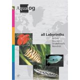 Animalbook All Labyrinths