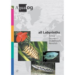 Animalbook All Labyrinths - 1 k.