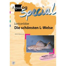 Animalbook Loricariidae "Die Schönsten L-Welse"