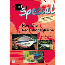 Animalbook Herrliche Regenbogenfische im Aquarium - 1 pcs