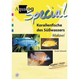 Animalbook Korallenfische des Süßwassers "Malawi"