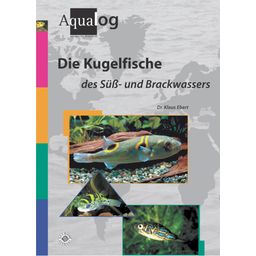Die Kugelfische des Süß- und Brackwassers - 1 pz.