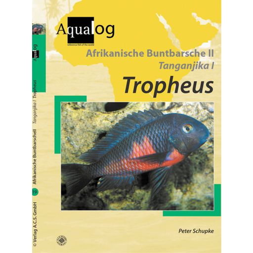 Afrikanische Buntbarsche 2. Tanganjika 1. Tropheus - 1 Stk