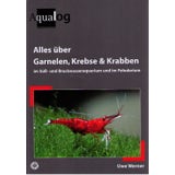 Alles über Garnelen, Krebse & Krabben im Süß- und Brack