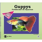Animalbook Guppies, kleurspatten in het aquarium