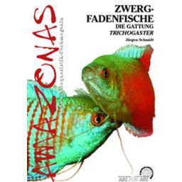 Animalbook Zwergfadenfische - 1 pcs