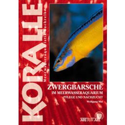 Animalbook Zwergbarsche im Meerwasseraquarium - 1 pcs