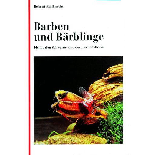 Animalbook Barben und Bärblinge - 1 Stk