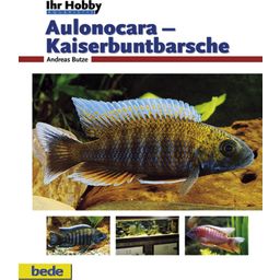 Animalbook Aulonocara keizer cichliden - 1 stuk