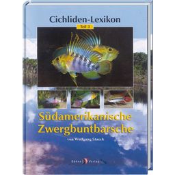 Animalbook South American Dwarf Cichlids - 1 st.