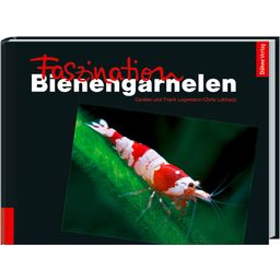 Animalbook Faszination Bienengarnelen - 1 Stk