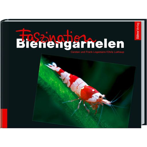 Animalbook Faszination Bienengarnelen - 1 Stk