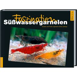 Animalbook Fascinating Freshwater Shrimp - 1 Pc