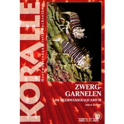 Animalbook Zwerggarnelen im Meerwasseraquarium - 1 pz.
