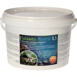 Garnelenhaus Salty Shrimp Sulawesi Mineral 8.5