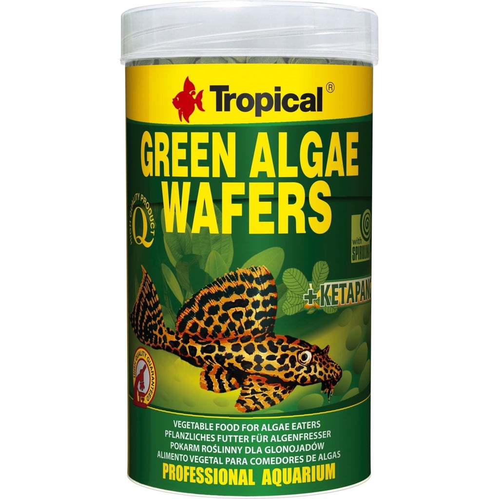 Algae vegetable deals