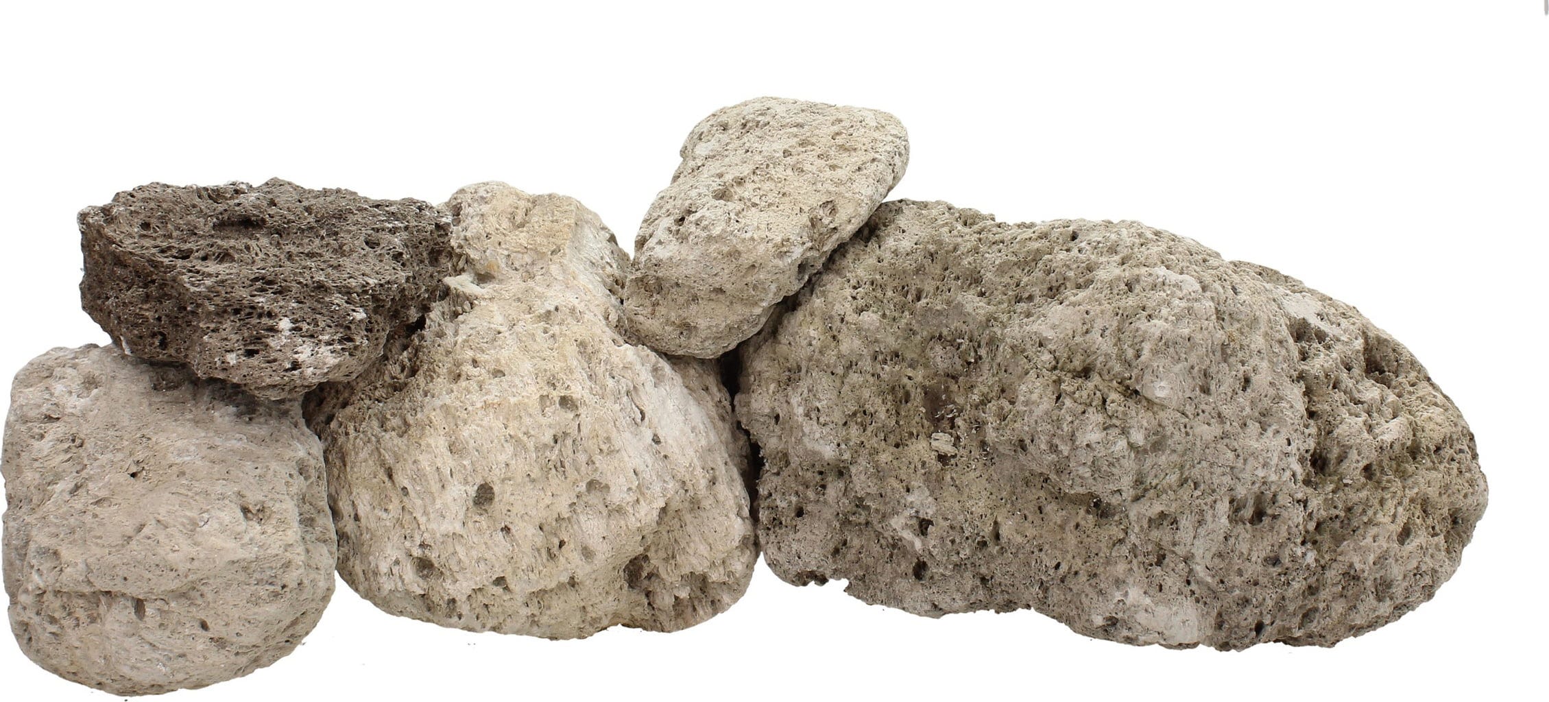 30 Chiles De Agua Grandes De Oaxaca | Meses Sin Intereses