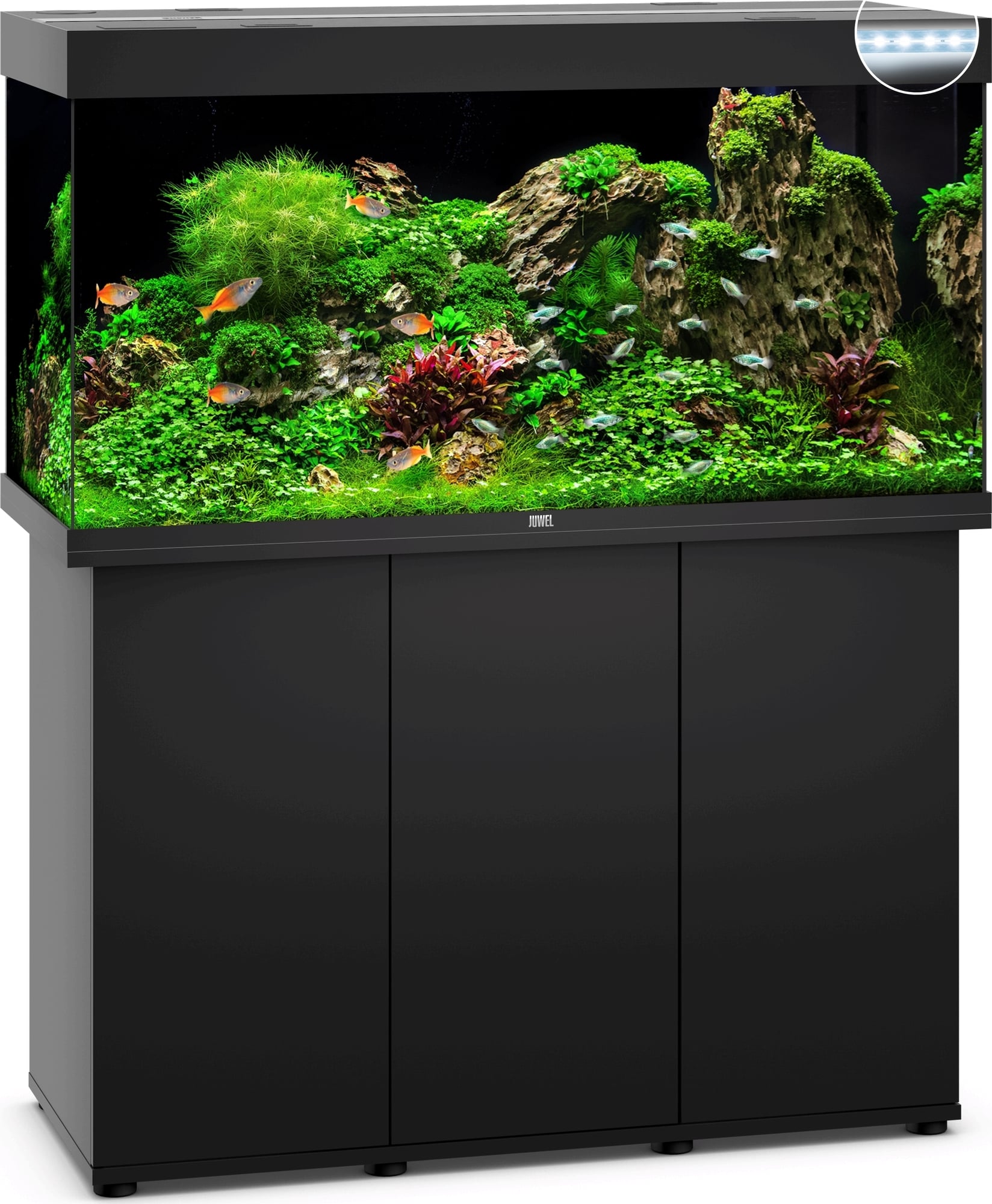 Aquarium Juwel Rio 350 mit Unterschrank LED good Beleuchtung