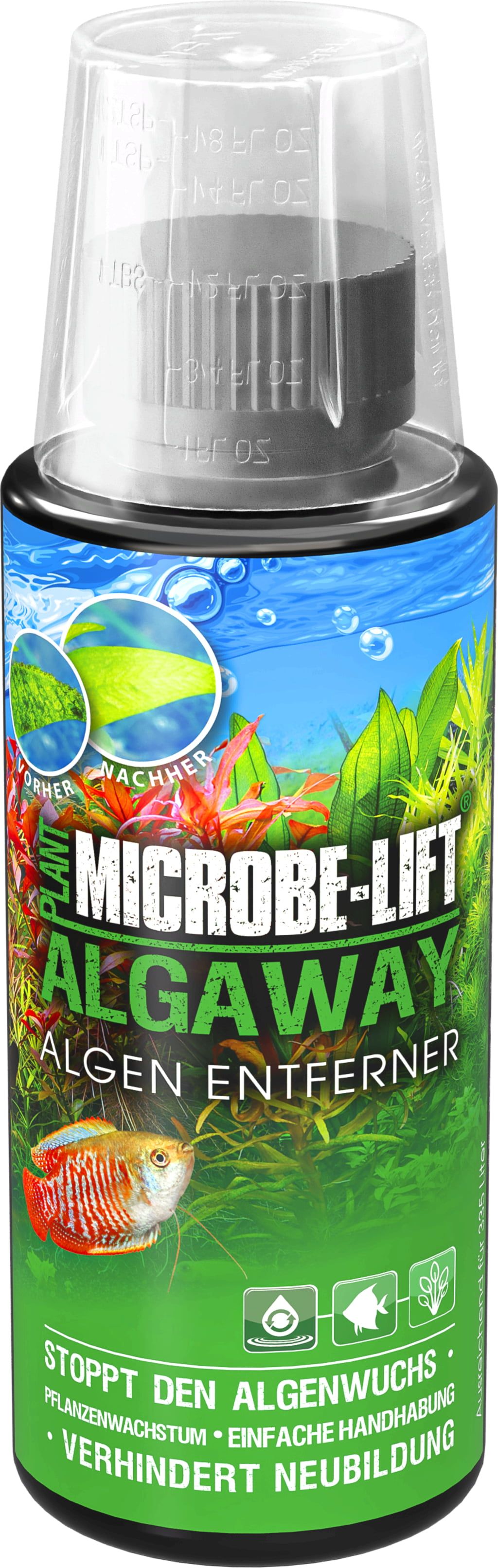 Microbe-Lift Algaway - Olibetta Online Shop