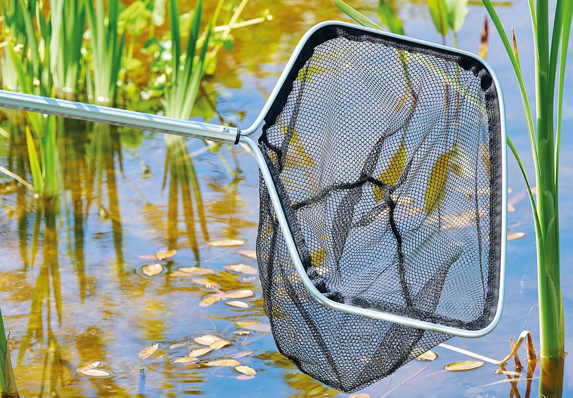Oase Pond Landing Net, Rectangular - Olibetta Online Shop
