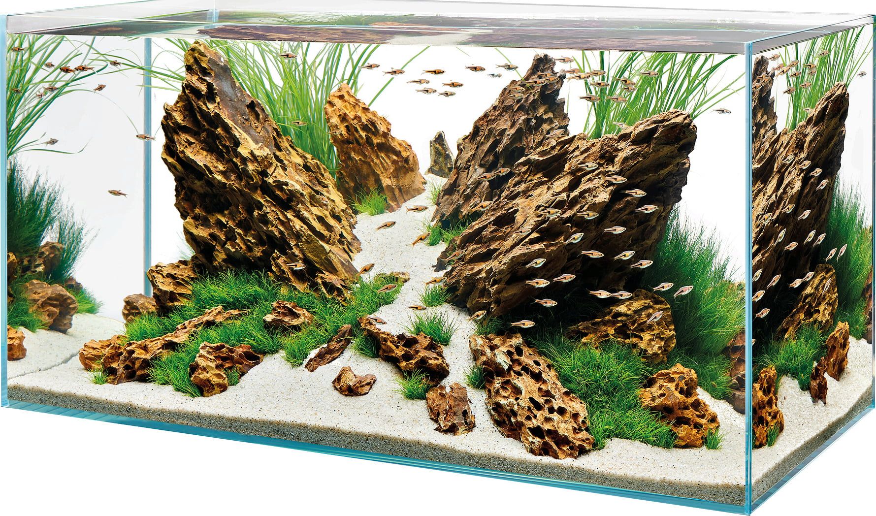 Aquascaping Inspiration — OASE North America