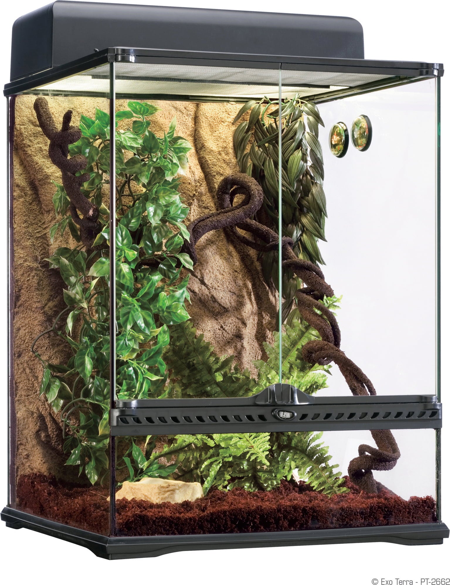 thumbnail image 2 of Exo-Terra Rainforest Plant – Spider Orchid, PT-2991, Artificial Terrarium Décor 2 of 6